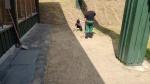 0p_2020_arbeitseinsatz_18072020_m.jpg